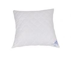 Traumnacht 3-Star Kopfkissen, Einzelpack, weich und bequem, aus softer Microfaser, 50 x 50 cm, Waschbar, weiß