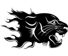 Indigos 4051095058939 Wandtattoo w625 Tiger Wandaufkleber in 3 GrÃ¶Ãen, 120 x 66 cm, schwarz