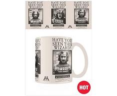 Wizarding World SCMG25012 Becher, Mehrfarbig