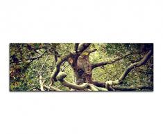 Panoramabild auf Leinwand und Keilrahmen 150x50cm Wald Ahornbaum