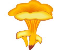 INDIGOS 4051719838657 Wandtattoo ME192 Pilze Rausch Delirium Suppe Party 40 x 36 cm