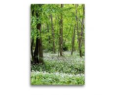 Premium Textil-Leinwand 50 x 75 cm Hoch-Format Bärlauchwald. Landschaft im Havelland. | Wandbild, HD-Bild auf Keilrahmen, Fertigbild auf hochwertigem Vlies, Leinwanddruck von Anja Frost