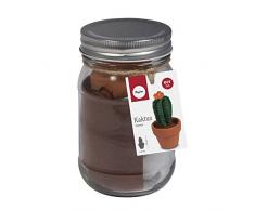 53936000 BP: Kaktus, 5cm ø, 10cm, Glas 1Stück