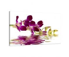 Visario Leinwandbilder 4132 Bild auf Leinwand Orchidee, 80 x 60 cm