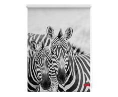 Lichtblick Rollo Klemmfix, 45 x 150 cm mit Motiv Zebra - Schwarz Weiß Montage ohne Bohren, moderner Sicht-und Sonnenschutz, Motivrollo, lichtdurchlässig & Blickdicht