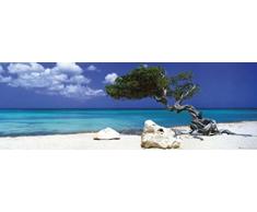 1art1 Strände - Divi Divi Baum, Tom Makie Tür-Poster 158 x 53 cm