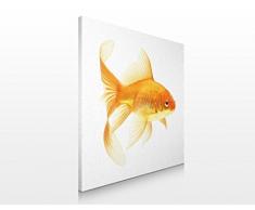 Apalis 52139 Leinwandbild Nummer 215 Frau Goldfisch, 70 x 70 cm