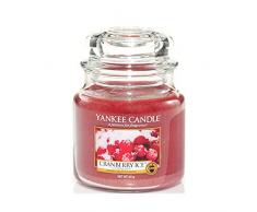 Yankee Candle Cranberry Ice, Kerze, Glas, Rot, 9,9 x 9,9 cm, 1 Einheiten