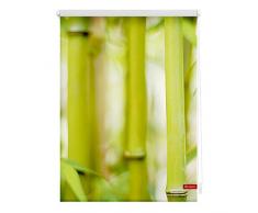 Lichtblick Rollo Klemmfix, 120 x 150 cm mit Motiv Bambus - Grün Montage ohne Bohren, moderner Sicht-und Sonnenschutz, Motivrollo, lichtdurchlässig & Blickdicht