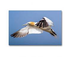 Calvendo Premium Textil-Leinwand 90 x 60 cm Quer-Format BasstÃ¶lpel | Wandbild, HD-Bild auf Keilrahmen, Fertigbild auf hochwertigem Vlies, Leinwanddruck von Wilhelm Eisenreich