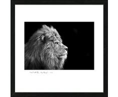 Pro-Art an503j2 Wandbild Scandic-Living Lion 55 x 55 cm