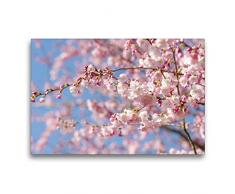 Premium Textil-Leinwand 75 x 50 cm Quer-Format Mandelblüten Baum | Wandbild, HD-Bild auf Keilrahmen, Fertigbild auf hochwertigem Vlies, Leinwanddruck von Tanja Riedel