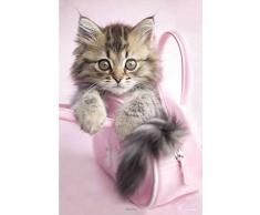 Hale, Rachael - Minnie Katze - Poster Foto Katze in Handtasche - Grösse 61x91,5 cm