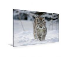 Premium Textil-Leinwand 90 x 60 cm Quer-Format Luchs läuft durch Schnee | Wandbild, HD-Bild auf Keilrahmen, Fertigbild auf hochwertigem Vlies, Leinwanddruck von Wilfried Martin