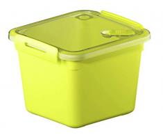 Rotho Memory Mikrowellendose mit Deckel und Ventil 1.6 l, Kunststoff (BPA-frei),grün/transparent, 1,6 Liter (16 x 15 x 12,1 cm)