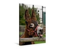 Calvendo Premium Textil-Leinwand 50 cm x 75 cm hoch, Lachender Esel | Wandbild, Bild auf Keilrahmen, Fertigbild auf echter Leinwand, Leinwanddruck Tiere Tiere