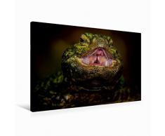 Premium Textil-Leinwand 90 cm x 60 cm quer Dornschwanzagame | Wandbild, Bild auf Keilrahmen, Fertigbild auf echter Leinwand, Leinwanddruck