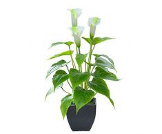 Künstliche Calla-Lilie, künstliche Topfpflanze mit schwarzem Topf, künstliche Bonsai-Blume für Zuhause, Büro, drinnen und draußen Weiße Kunstblume
