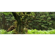 Pro-Art gla987o Wandbild Glas-Art Oak tree, 50 x 125 cm