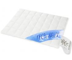HANSKRUCHEN® | 975.98.034 | WOLKE 7® â Hochwertige Bettdecke â SOMMER â 200 x 220cm â 90% Naturdaunen / 10% Federchen â 390 gr. â Deutsches Qualitätsprodukt