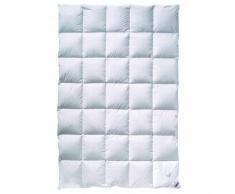 Billerbeck Daunendecke E04 Gold Edition Farbe mittel (M), Größe 135 x 200 cm