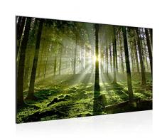 Bild Wald Landschaft Wandbild Vlies - Leinwand Bilder XXL Format Wandbilder Wohnzimmer Wohnung Deko Kunstdrucke Grün 1 Teilig - MADE IN GERMANY - Fertig zum Aufhängen 602914a