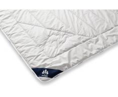 Badenia Bettcomfort Irisette Steppbett medium aus Kamelhaar für den Übergang, 200 x 200 cm