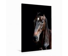 Premium Textil-Leinwand 80 cm x 120 cm hoch Trakehner | Wandbild, Bild auf Keilrahmen, Fertigbild auf echter Leinwand, Leinwanddruck