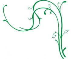 INDIGOS 4051095043249 Wandtattoo w361 Ranken Wandauskleber in 3 Größen, 120 x 106 cm, grün