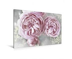 Premium Textil-Leinwand 120 x 80 cm Quer-Format Rosen Landhaus Shabby | Wandbild, HD-Bild auf Keilrahmen, Fertigbild auf hochwertigem Vlies, Leinwanddruck von Christine Bässler