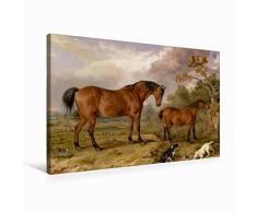 Calvendo Leinwand Stute mit Fohlen 75x50cm, Special-Edition Wandbild, Bild auf Keilrahmen, Fertigbild auf hochwertigem Textil, Leinwanddruck, kein Poster