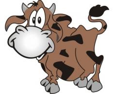 INDIGOS 4051719955873 Wandtattoo MD352 lustige Kuh 60 x 54 cm, bunt farbig