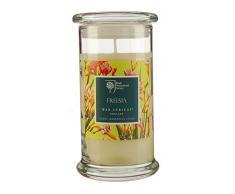 Royal Horticultural Society Duftkerze im Glas, groß-Freesia (Freesie)