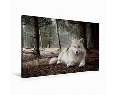 Premium Textil-Leinwand 90 cm x 60 cm quer weiÃer Wolf | Wandbild, Bild auf Keilrahmen, Fertigbild auf echter Leinwand, Leinwanddruck