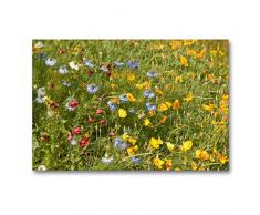 Premium Textil-Leinwand 90 x 60 cm Quer-Format Wildblumen fÃ¼r Bienen mit Goldmohn und Junger im GrÃ¼nen | Wandbild, HD-Bild auf Keilrahmen, Fertigbild auf hochwertigem Vlies, Leinwanddruck von Meike BÃ¶lts