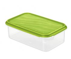 Rotho Rondo Frischhaltedose, Kunststoff (BPA-frei), grün / transparent, 1.5 Liter (24 x 16 x 7,5 cm)