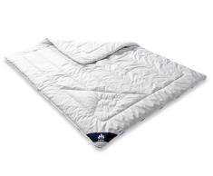 Badenia Bettcomfort Irisette Steppbett warm aus Kamelhaar für den Winter, 155 x 220 cm