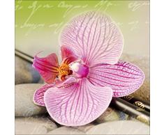 Pro-Art gla443b Wandbild Glas-Art Wellness IV, 50 x 50 cm