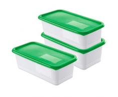Rotho Domino 3er Set Vorratsdosen, Kunststoff (BPA-frei), grün / transparent, 3x 1.2 Liter (23,3 x 11,8 x 7,5 cm)