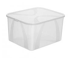 Rotho Arco Aufbewahrungsbox mit Deckel 25 l, Kunststoff (PP), transparent, 25 Liter (42 x 35.1 x 23 cm)