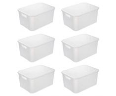 BranQ - Home essential Schuhbox in Rattan Design, Kunststoff PP, Transparent, 38x27,8x18,5 cm (LxBxH)