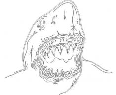 INDIGOS 4051095059288 Wandtattoo w626 Hai 96 x 53 cm Wandaufkleber in 3 Größen, weiß