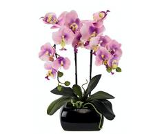 Orchidee im Topf