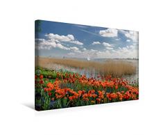 Premium Textil-Leinwand 45 x 30 cm Quer-Format Am Unteruckersee i Prenzlau | Wandbild, HD-Bild auf Keilrahmen, Fertigbild auf hochwertigem Vlies, Leinwanddruck von Thomas Schulze