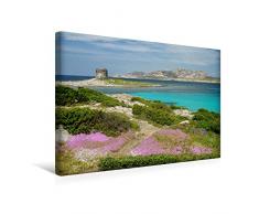 Premium Textil-Leinwand 45 x 30 cm Quer-Format La Pelosa | Wandbild, HD-Bild auf Keilrahmen, Fertigbild auf hochwertigem Vlies, Leinwanddruck von Silke Liedtke Reisefotografie