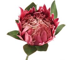 FiveSeasonStuff King Protea Künstliche Blumen für Hochzeit, Blumenstrauß zu Hause, Küche, 76,2 cm hoch, Tropische Blumengestecke Dekor, 1 Stiel Burgunderrot