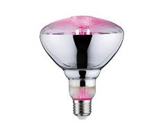 Paulmann 28737 LED Lampe Pflanzenlicht 6,5 Watt Leuchtmittel Wachstumslicht Beleuchtung Glas Licht 1300 K E27, 6.5 W, PAR38