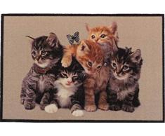 oKu-Tex Design Fußmatte Schmutzfangmatte Katzen Kätzchen Kitten, lustiges & niedliches Motiv, rutschfest & waschbar, Deko Dekorativ, beige, 50 x 80 cm