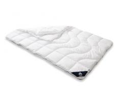 Badenia Bettcomfort Irisette 2er Set Micro Thermo 4-Jahreszeiten Steppbett mit Druckknöpfen für alle Jahreszeiten, 155 x 200 cm