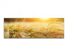 Panoramabild auf Leinwand und Keilrahmen 150x50cm Kornfeld Ãhren SpÃ¤tsommer Abendsonne
